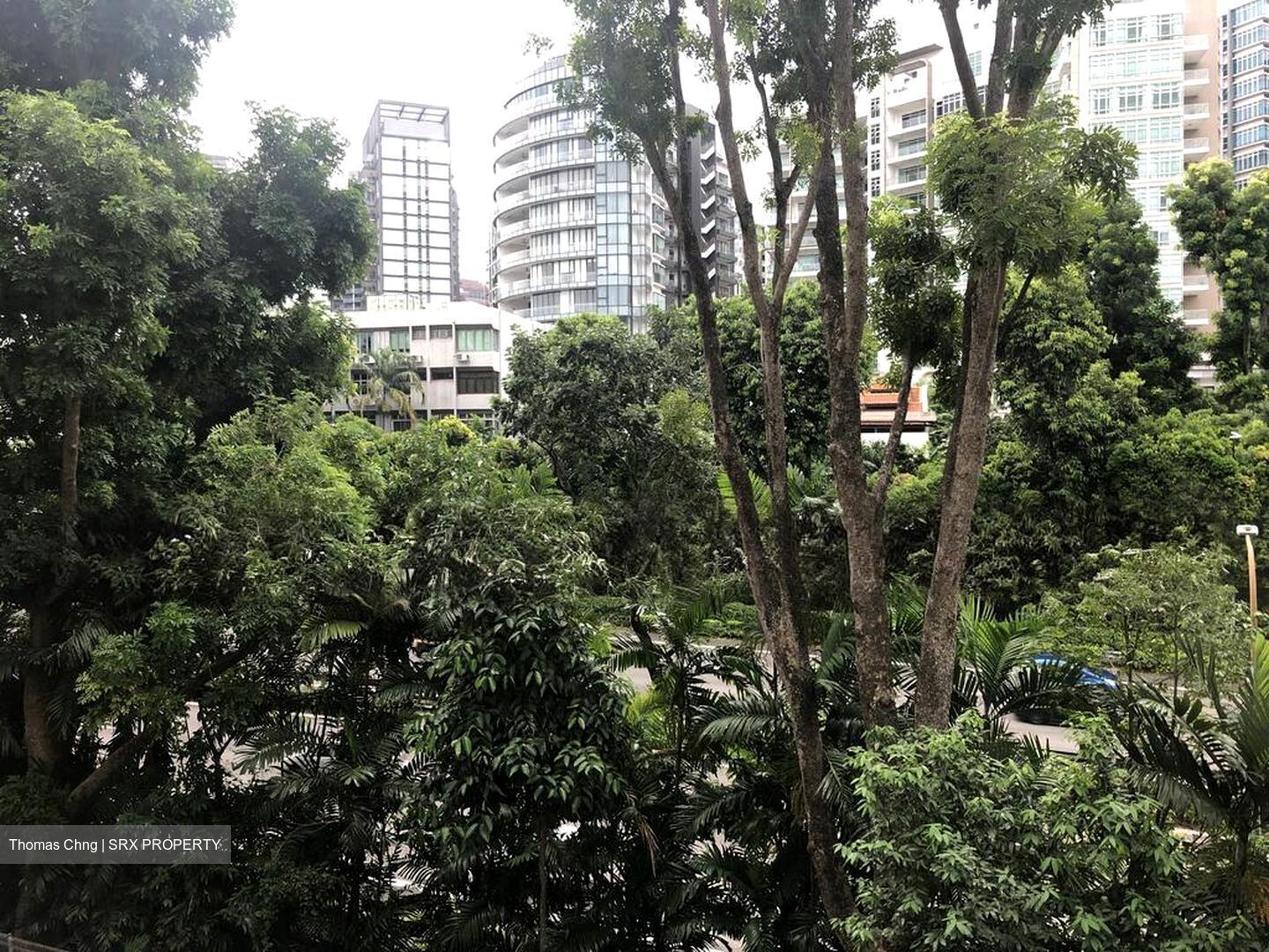 Cavenagh Gardens (D9), Apartment #504613691